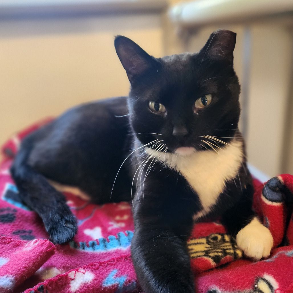 Hello my name is Selune