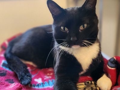 Hello my name is Selune