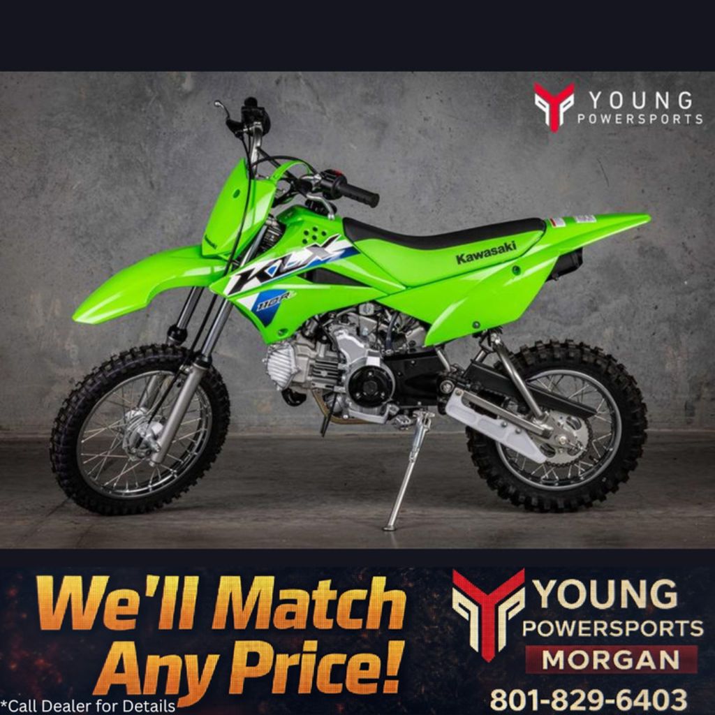 2026 KAWASAKI KLX 110R L