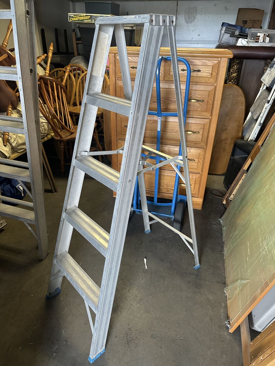 5 Foot Aluminum Ladder 