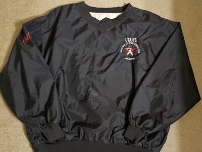 Men's size xl pullover lined long sleeve shirt