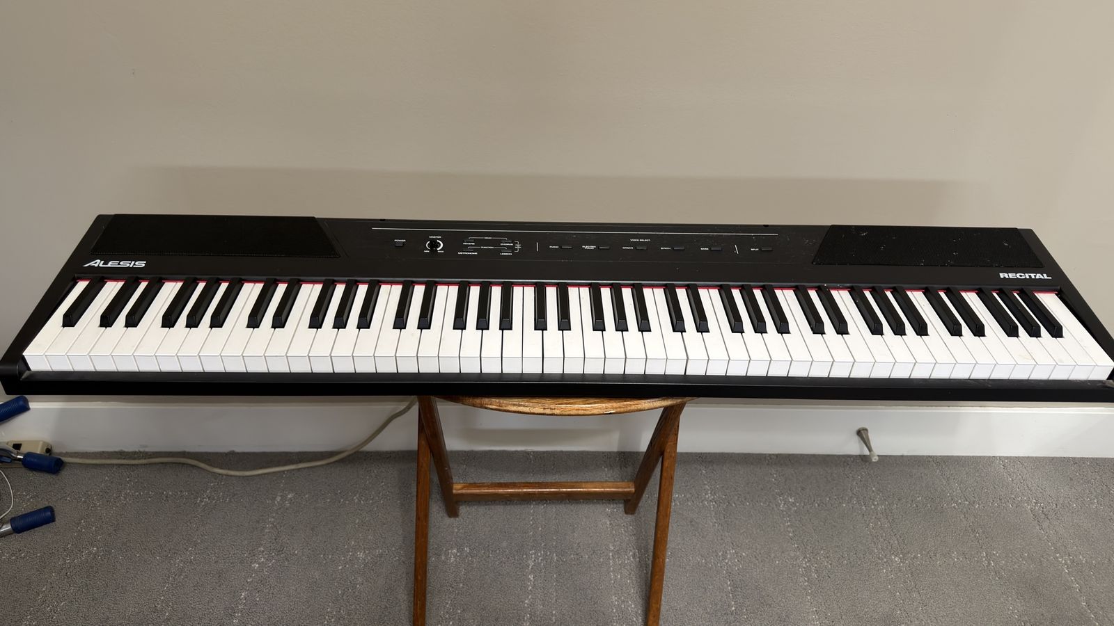 Alesia 88-Key Piano – Great Deal