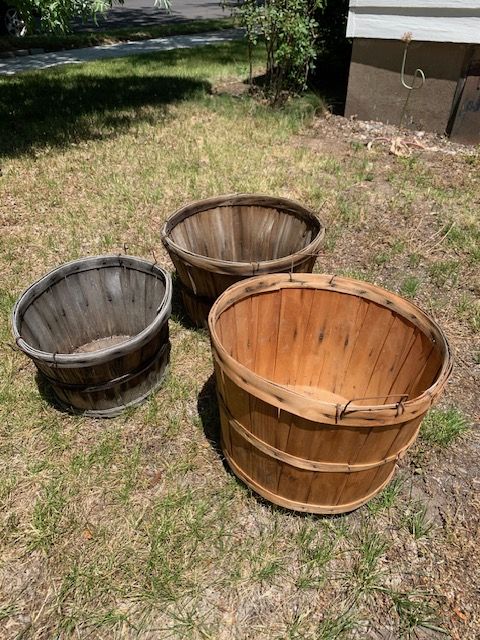 Orchard harvest baskets $5 each