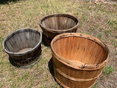 Orchard harvest baskets $5 each