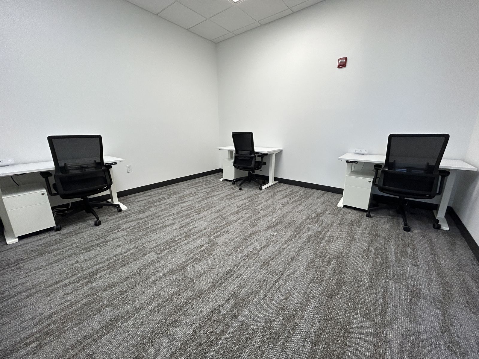 Need a Space for a Business License? We've got you covered.