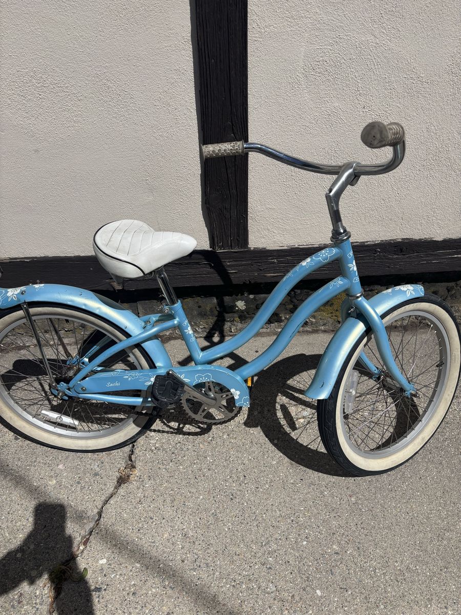 Mini cruiser with 20” tires and in excellent condition and ready for your bike rider