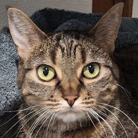 Hello my name is Luna