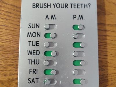 Dental Reminder Sliding Toggle Chart Did You Brush Your Teeth? Weekly Tracking