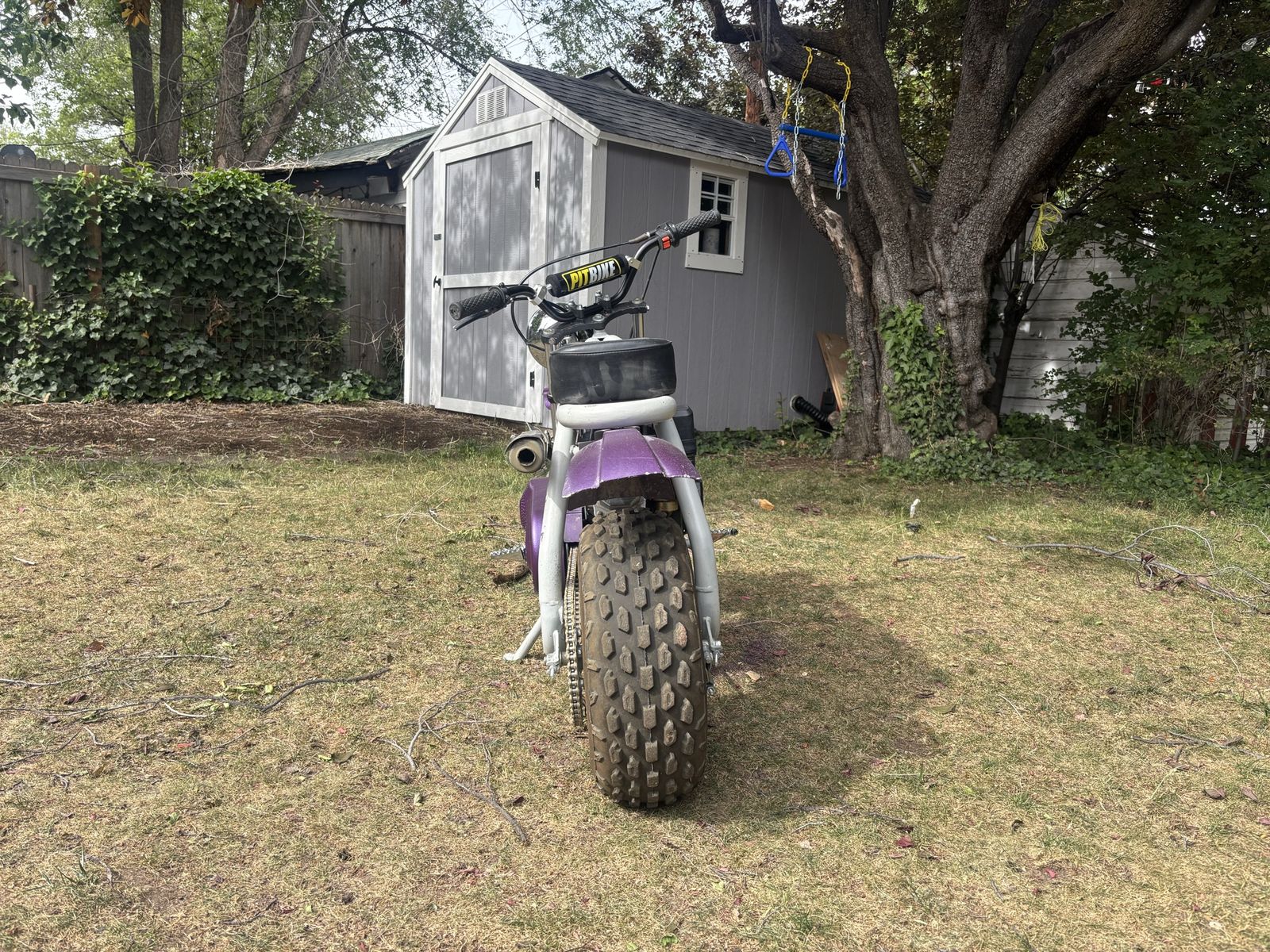 Main image 4