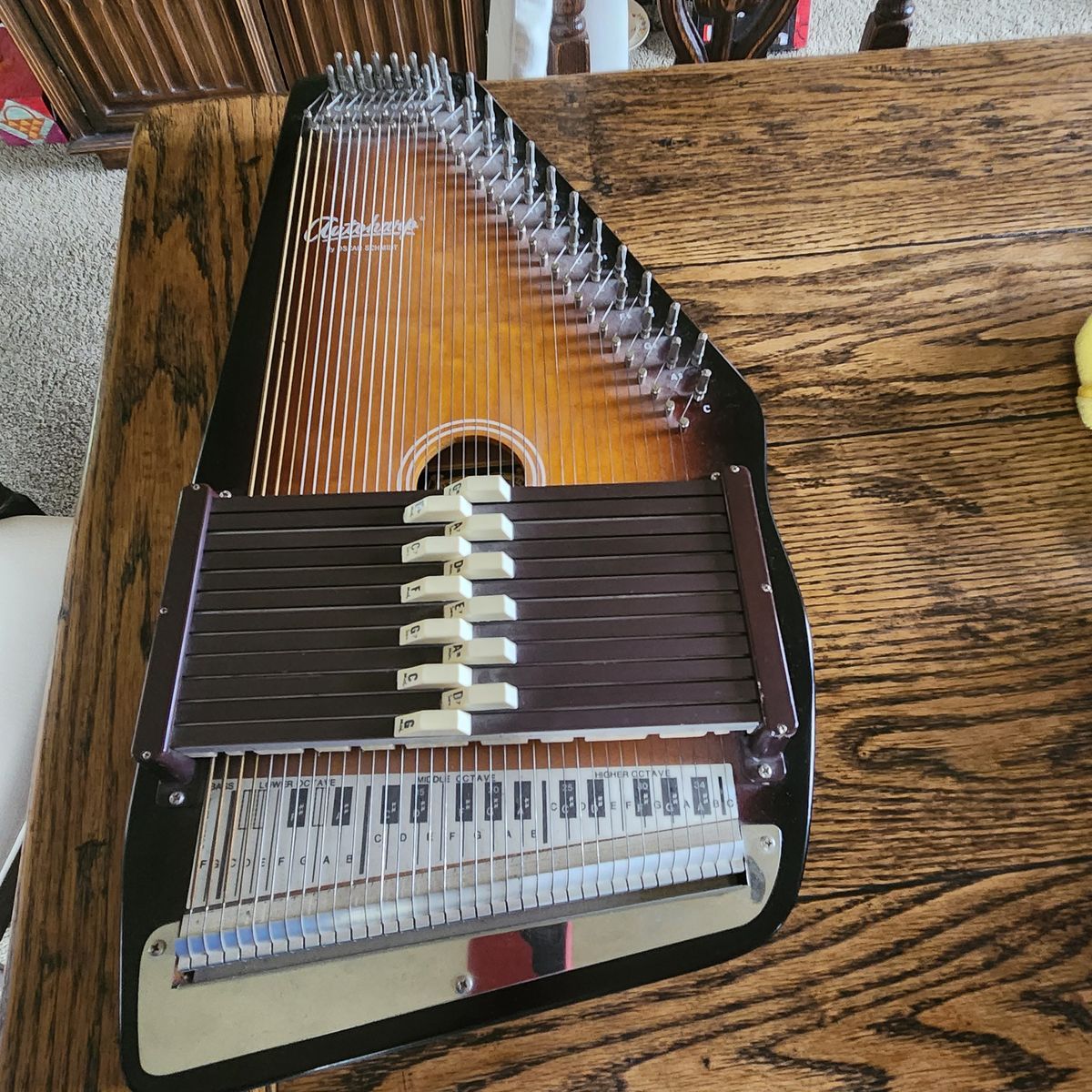 Oscar Schmidt Auto Harp