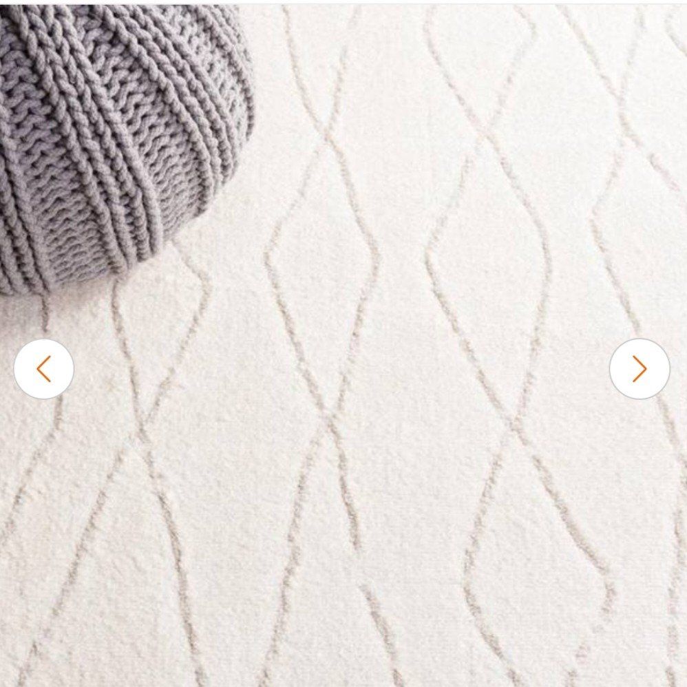 Safavieh 10" x 14" Area Rug Brand New