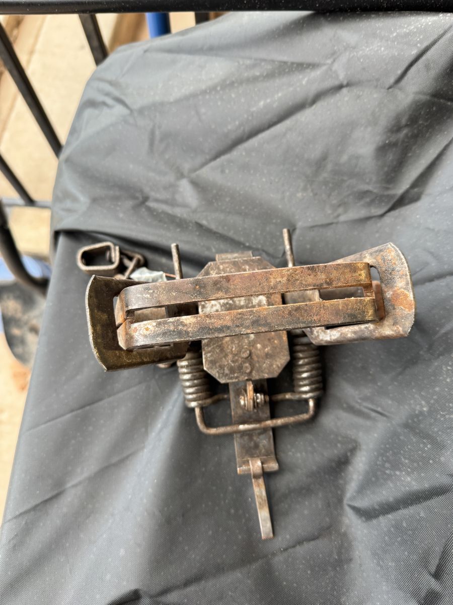 Bridger #3 dog latching trap