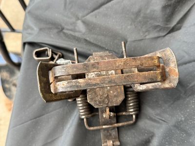 Bridger #3 dog latching trap