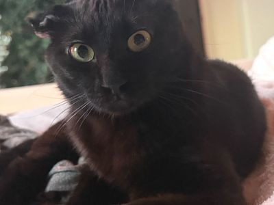 Hello my name is Moe