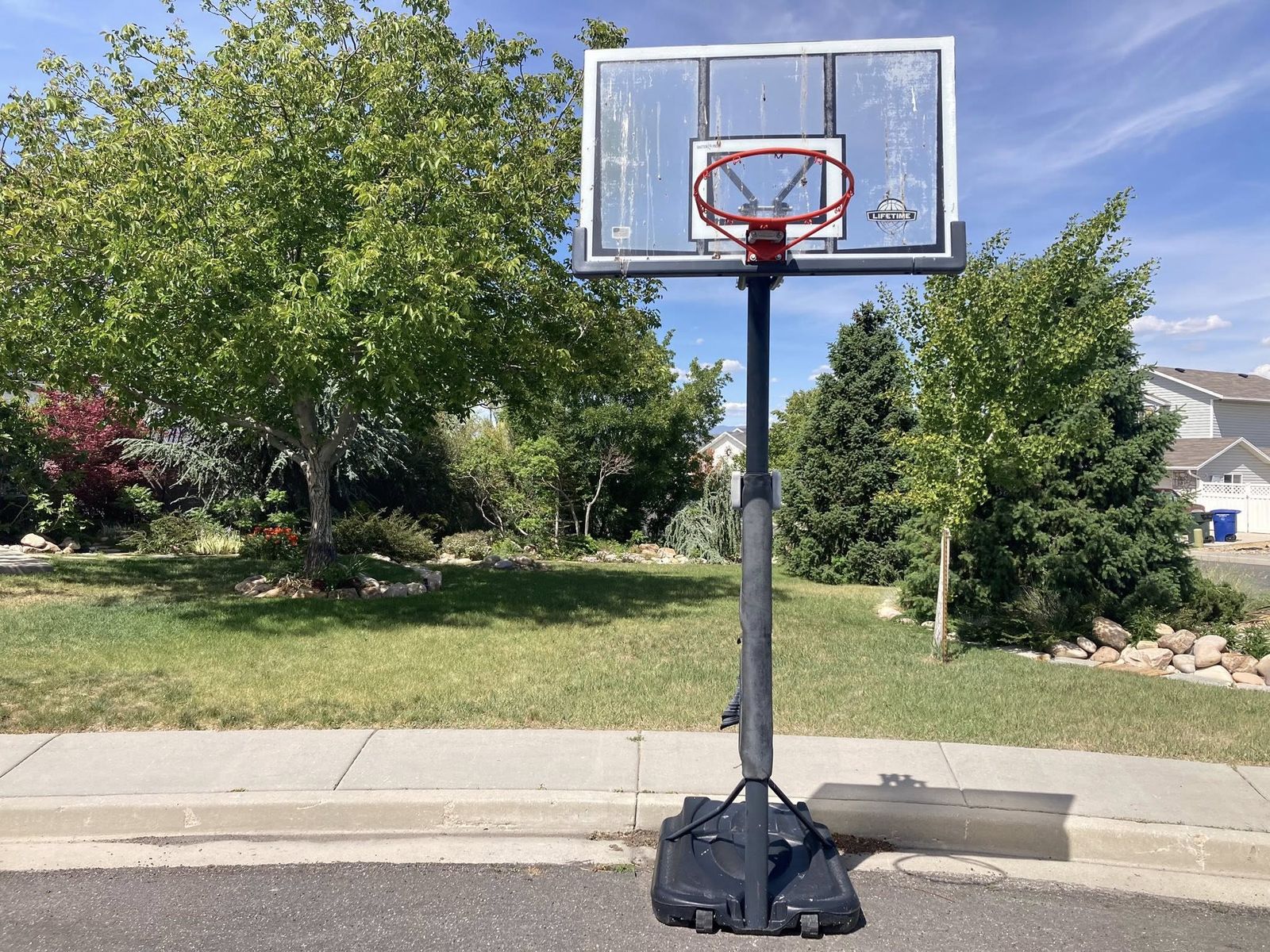 Lifetime basketball hoop