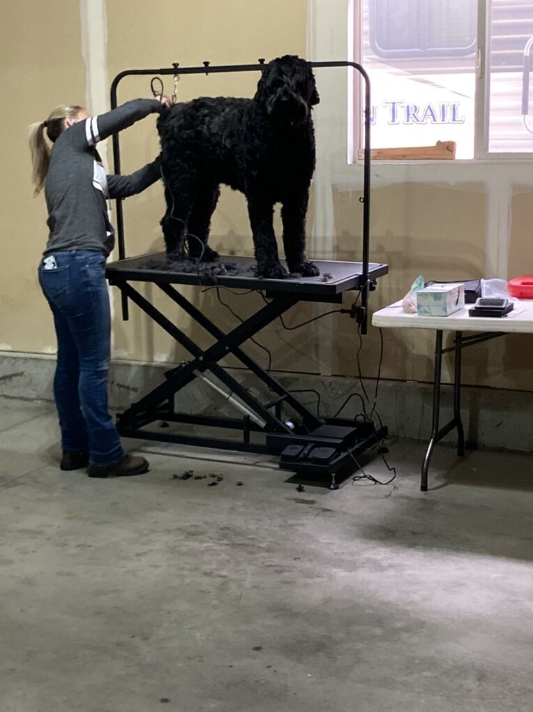 Electric Pet Grooming Table