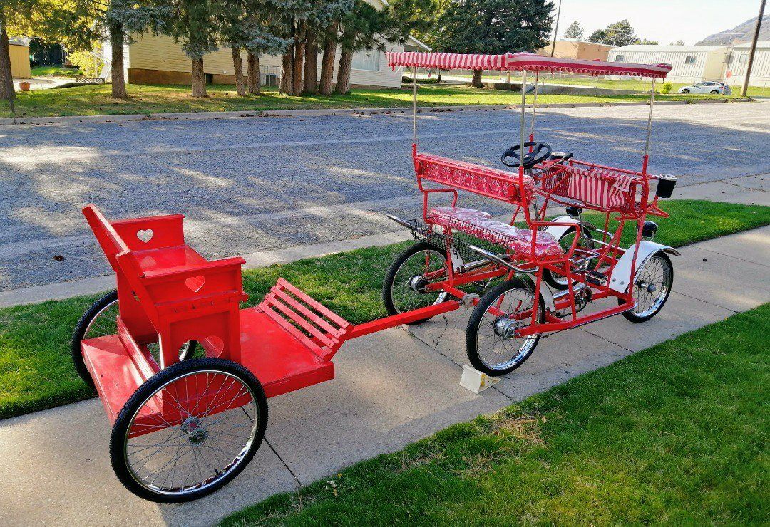 Surrey Bike and Trailer