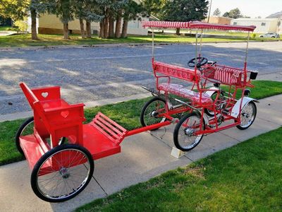 Surrey Bike and Trailer