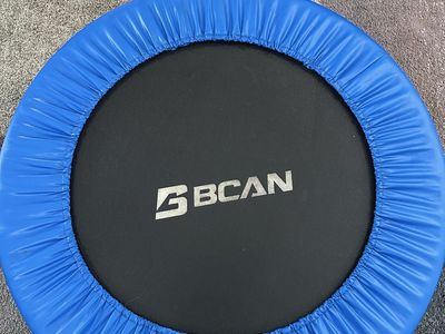 Mini Trampoline