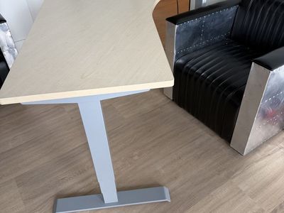 Electric Standing Desk