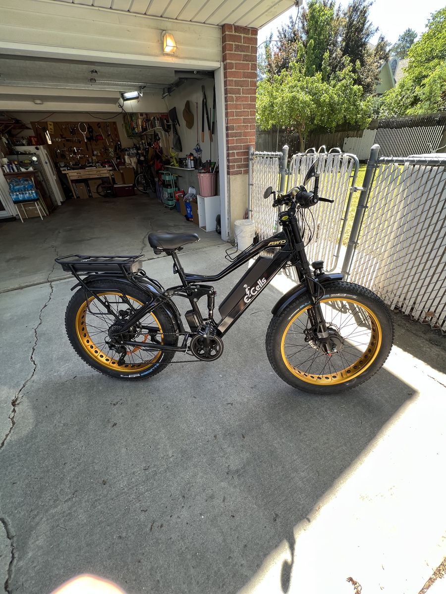 Electric Bike