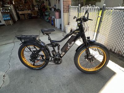 Electric Bike