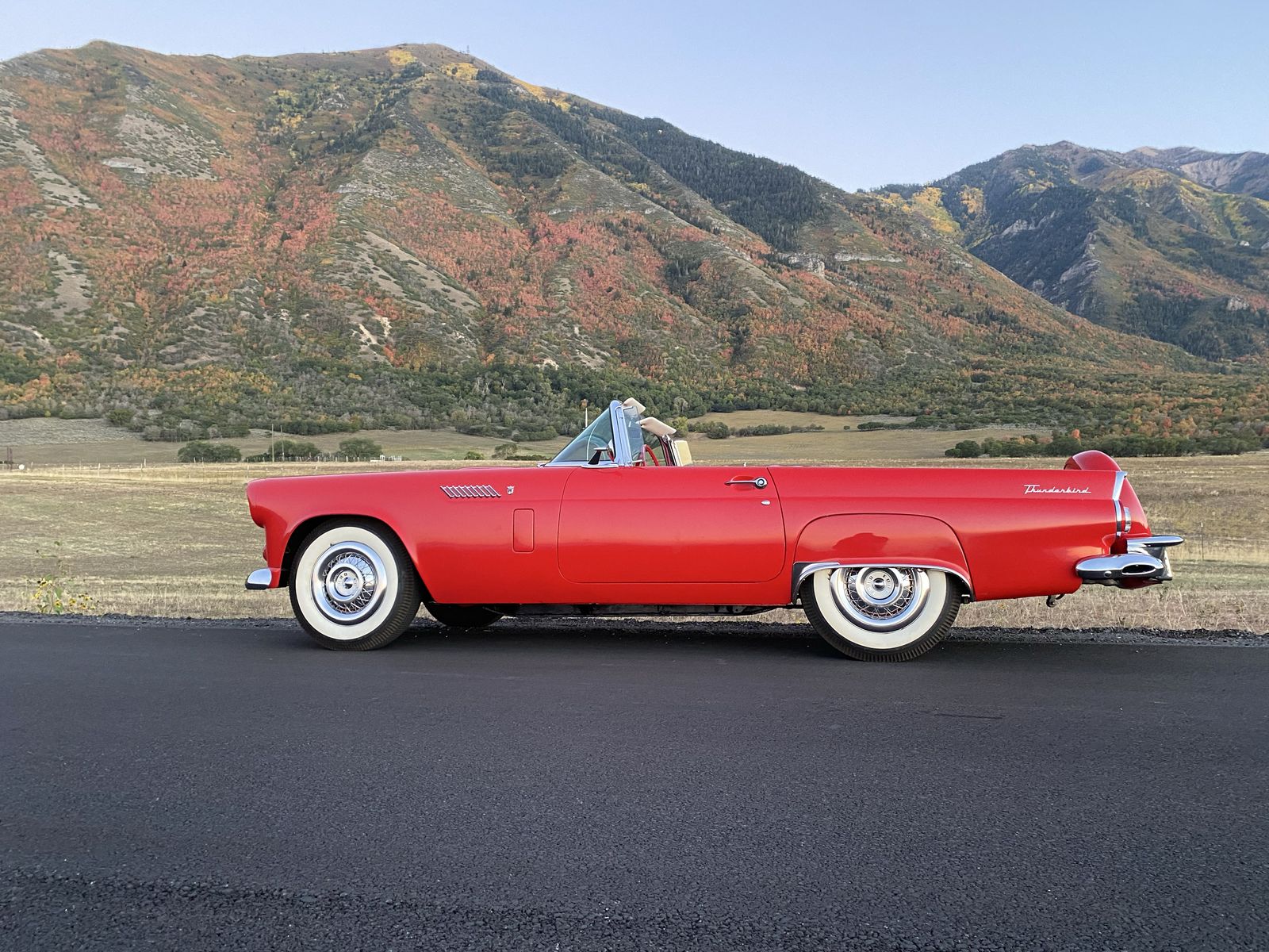 1956 Ford Thunderbird Sport