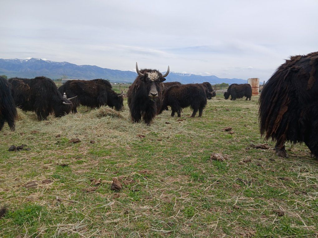 Main image 3