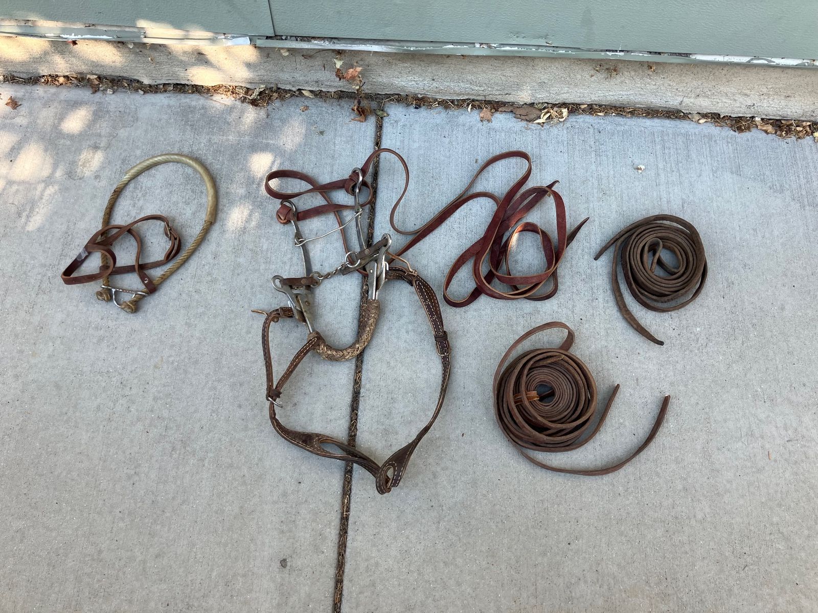 Horse Tack Bridles and Leads