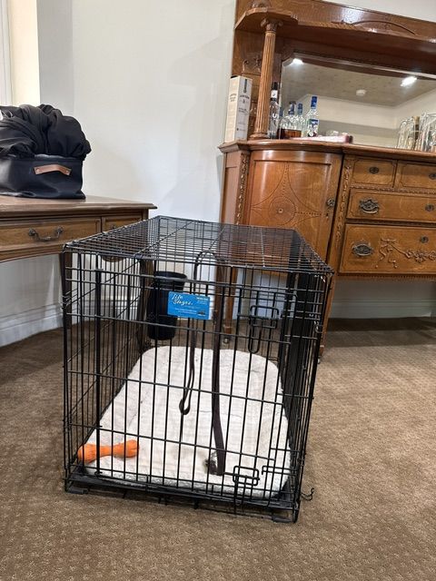 Dog Crate, Large Metal  36  24  27