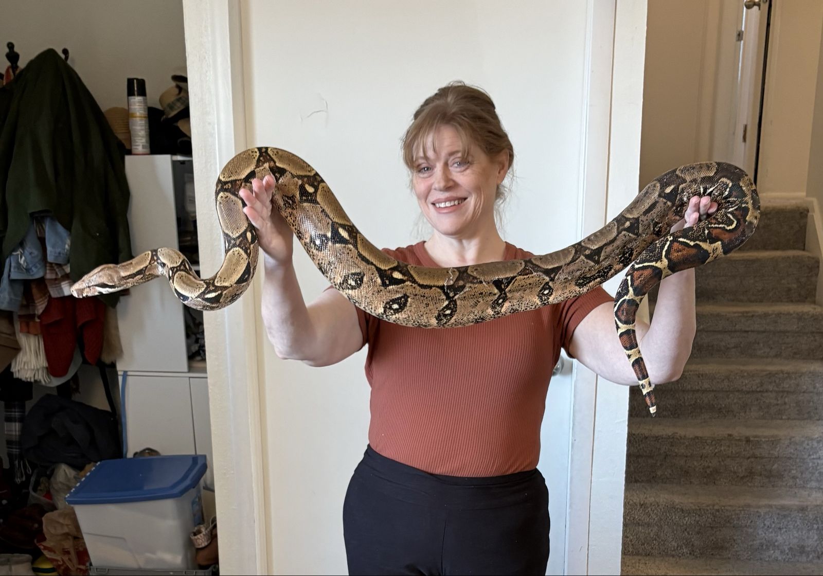 Colombian red-tailed boa constrictor, with cage, table, lights, water dishes, bedding