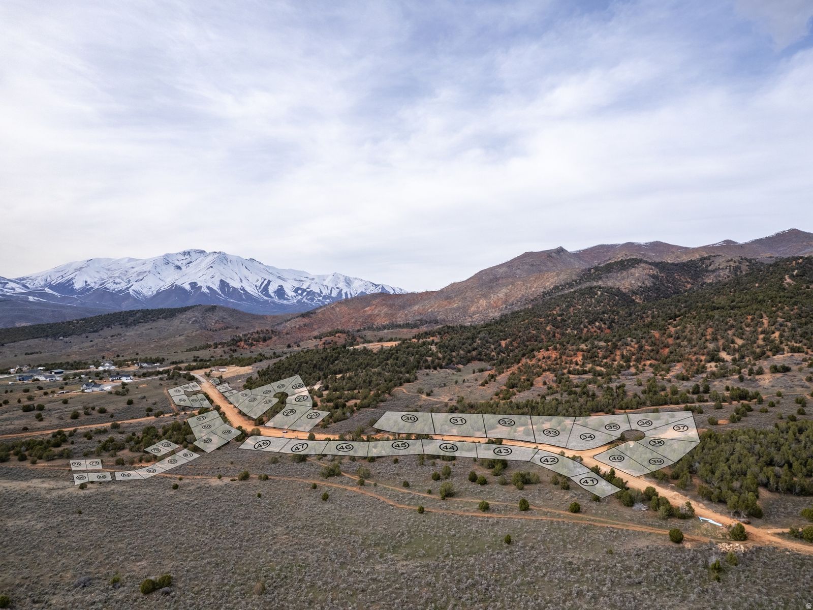 Main image 7