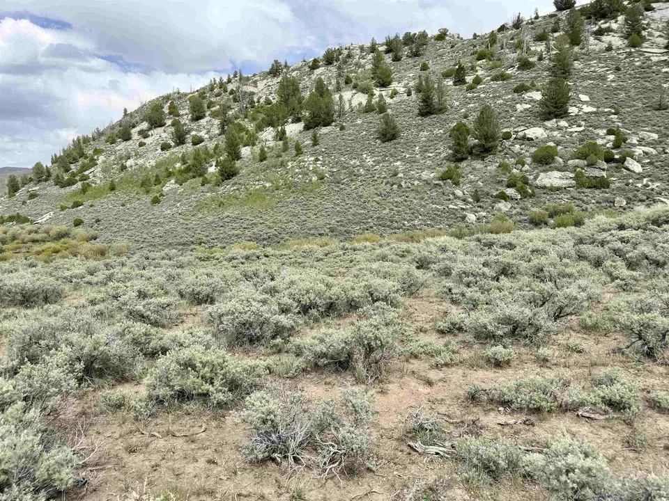 Main image 13