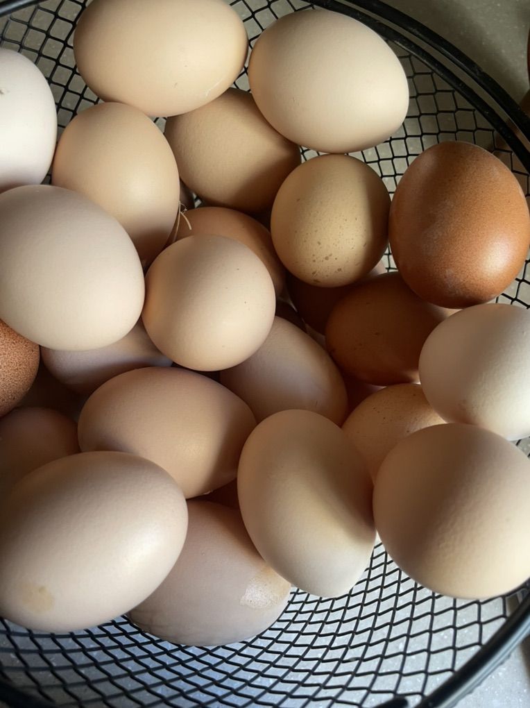 Farm Fresh Eggs