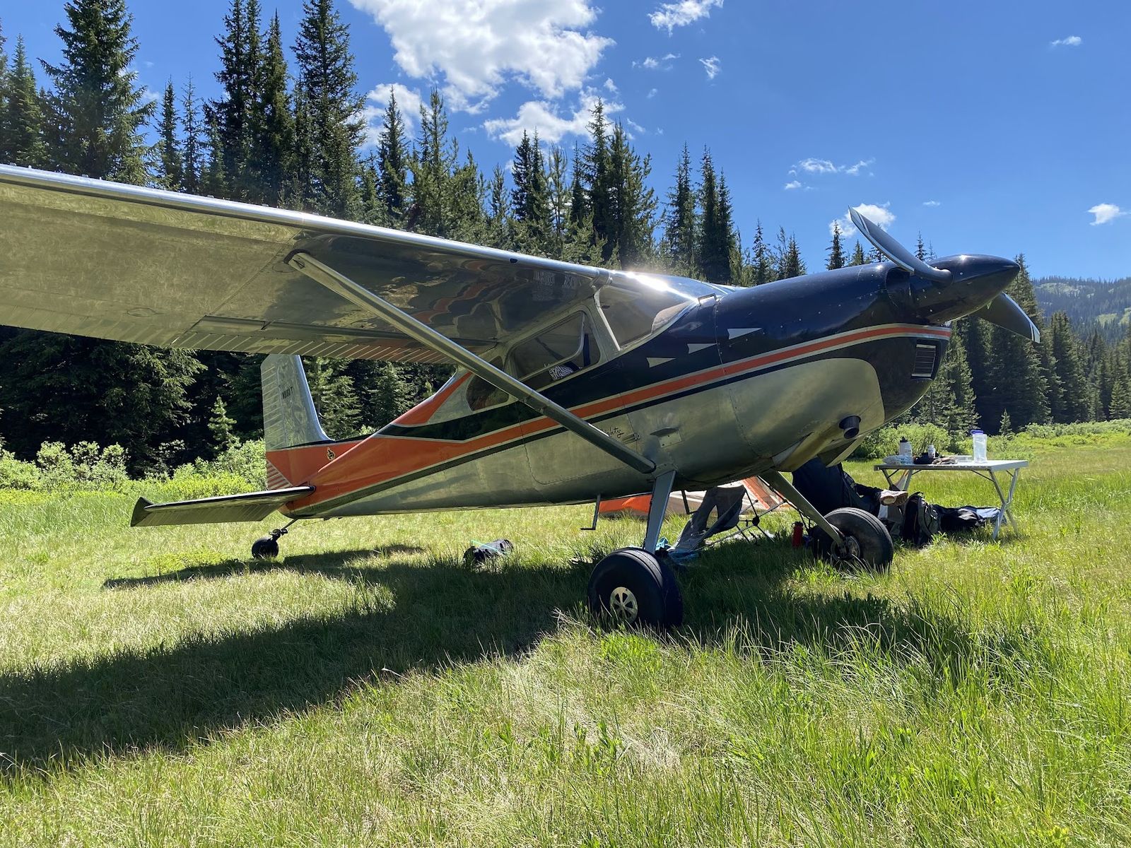 1960 Cessna 180-C  (1/4 Share)