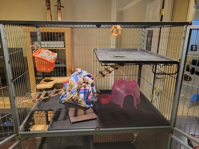 Two story, Small Animal cage.