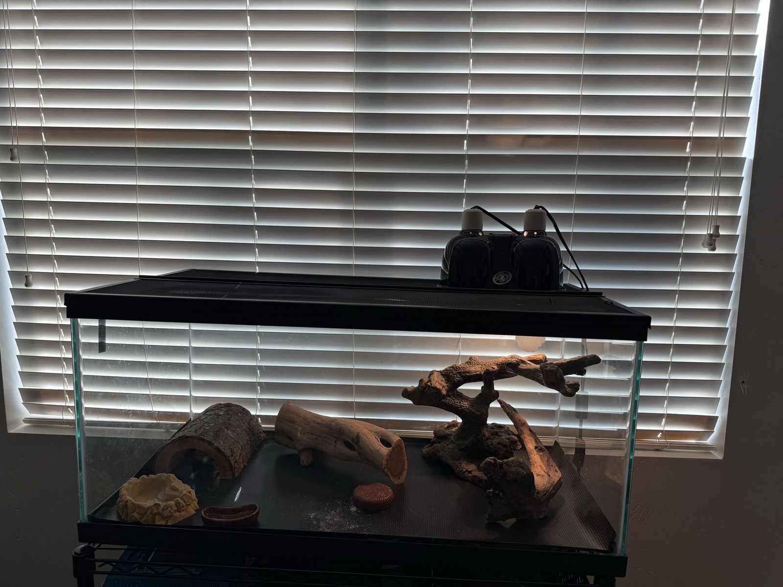 Main image 2