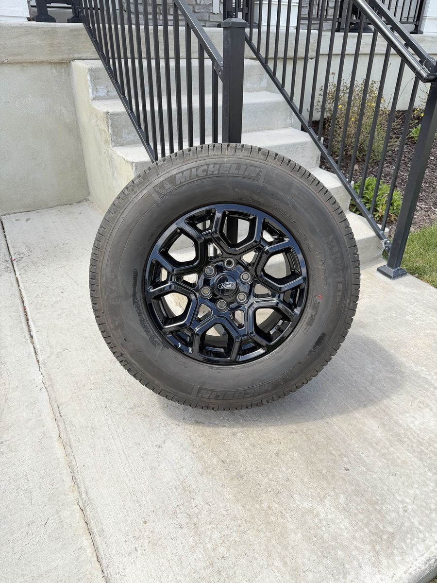 Ford F150 Expedition Rims and Tires 275/70R18 Michelin LTX AT2 Load E