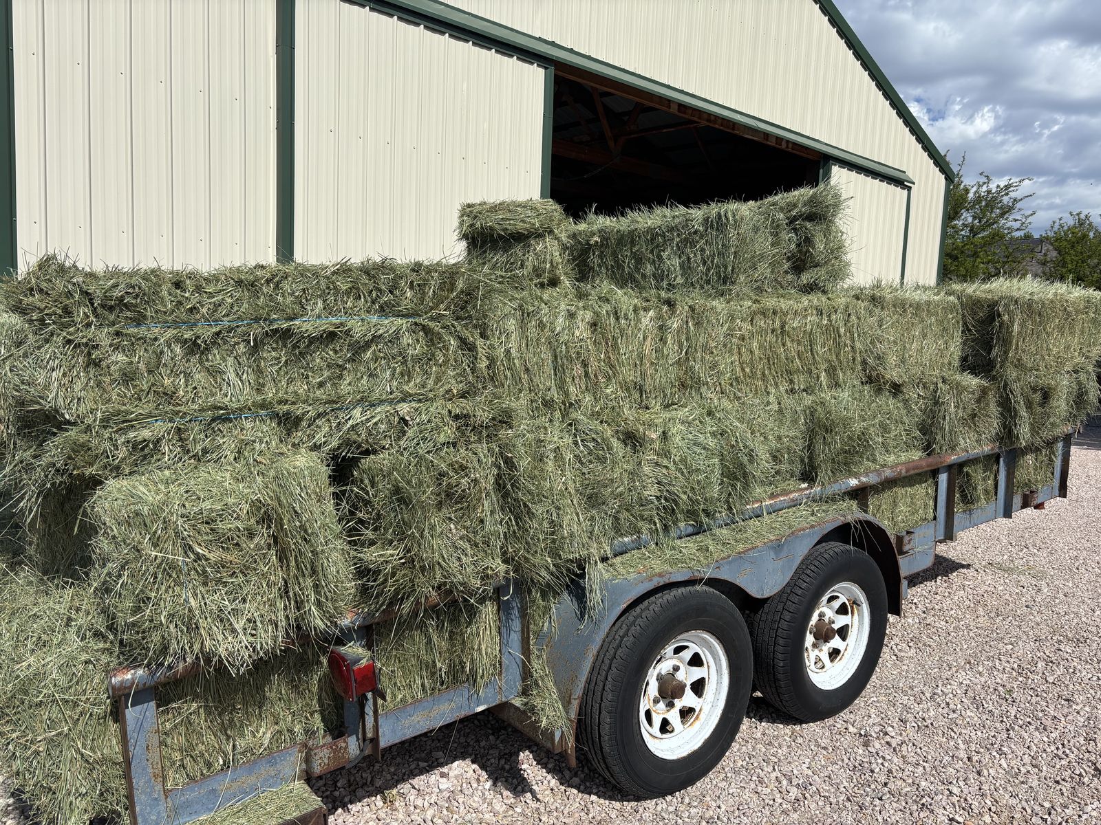 Grass Hay
