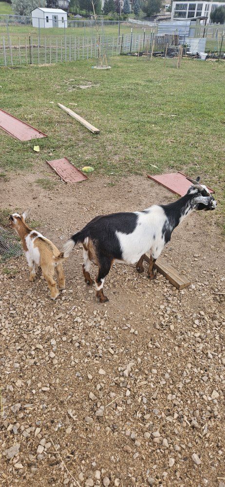 Main image 4