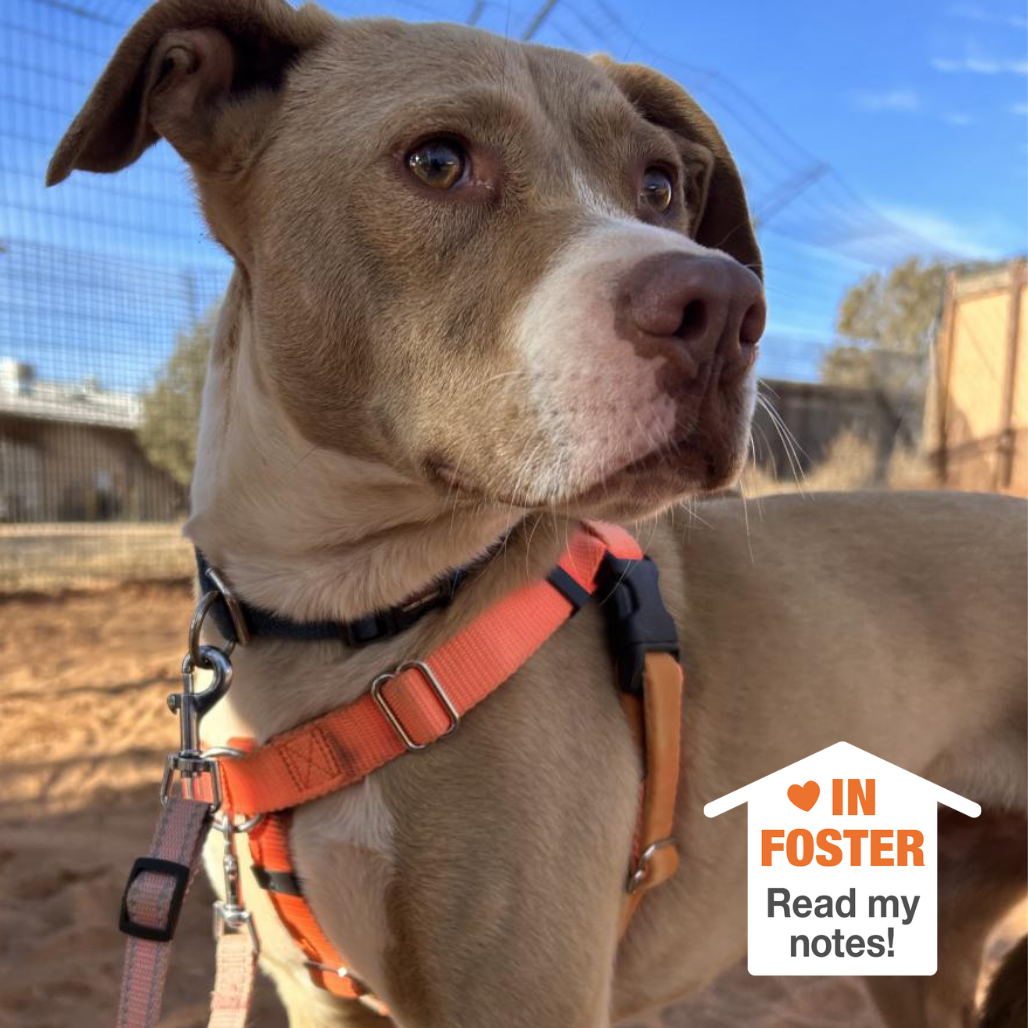 Hello my name is Kensey