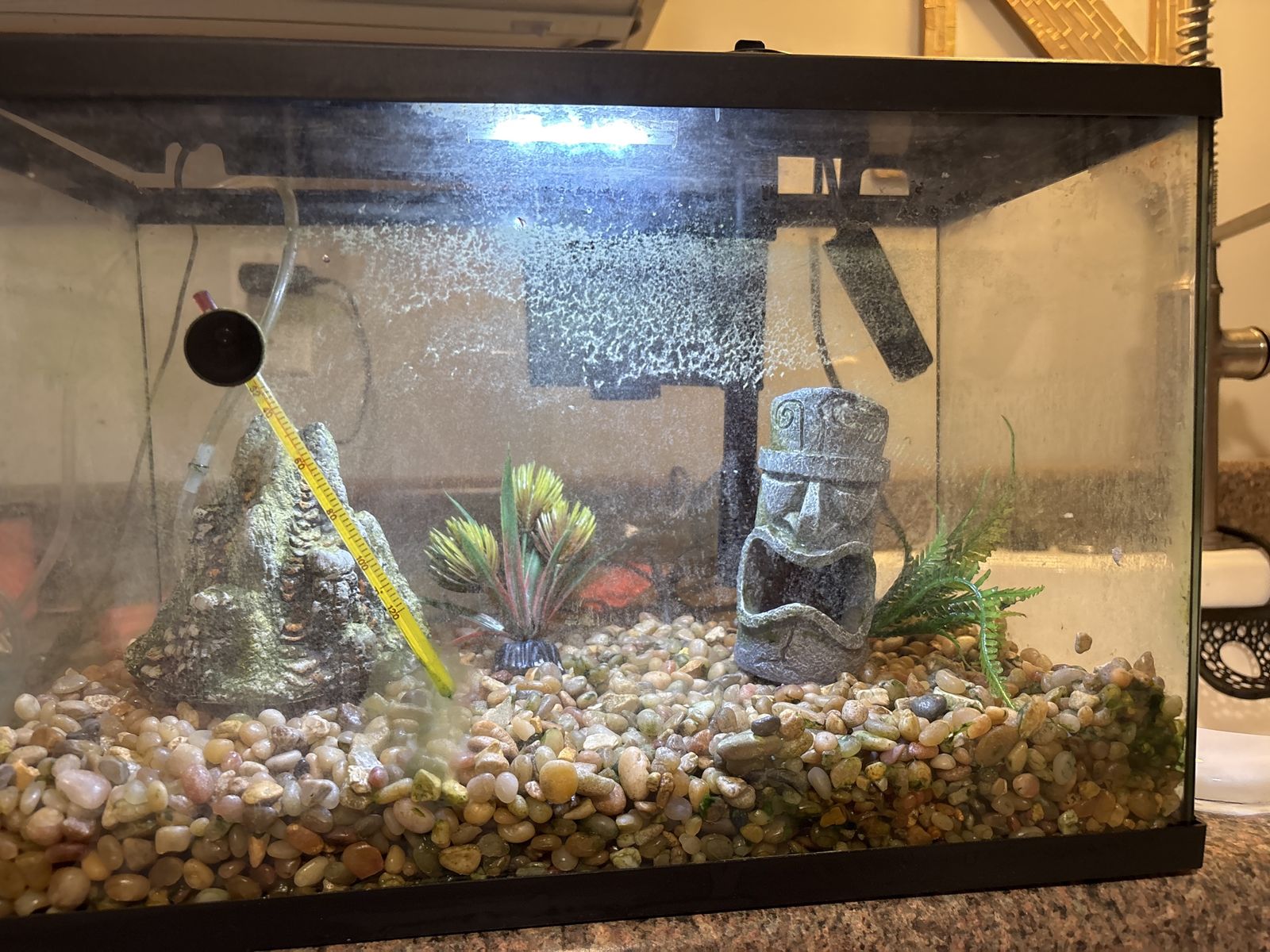 Fish tank