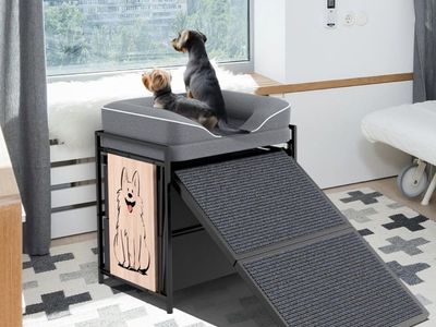 Elevated Dog Perch with Ramp and Storage