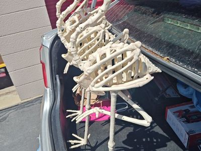 Set of 3 Halloween Skeleton Flamingo Lawn Props Decor
