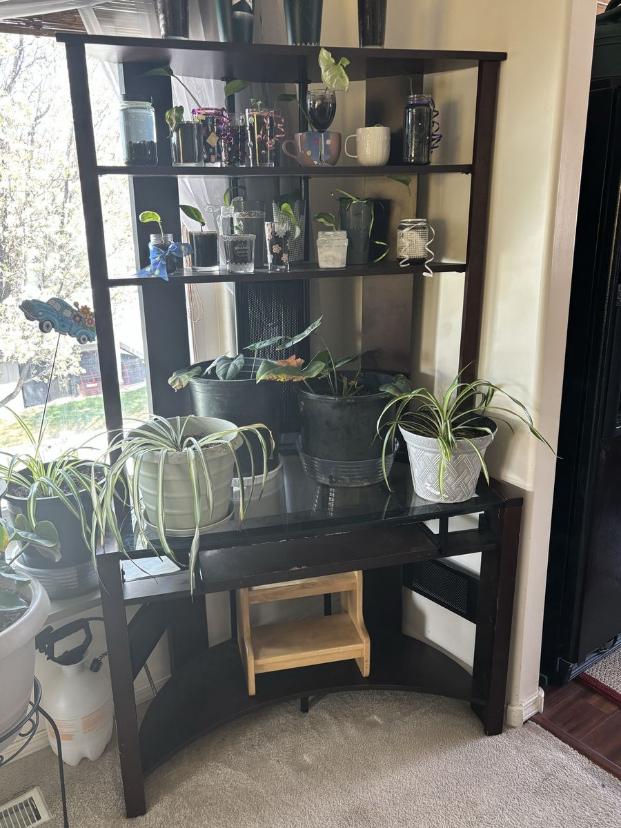 Glass Desk With Shelves
