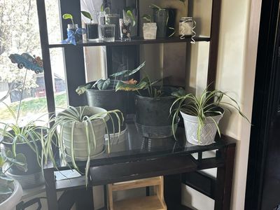 Glass Desk With Shelves