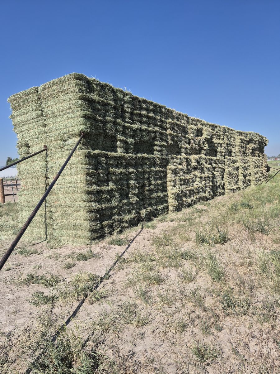 Soft grass hay