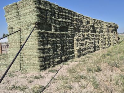 Soft grass hay and alfalfa grass mix