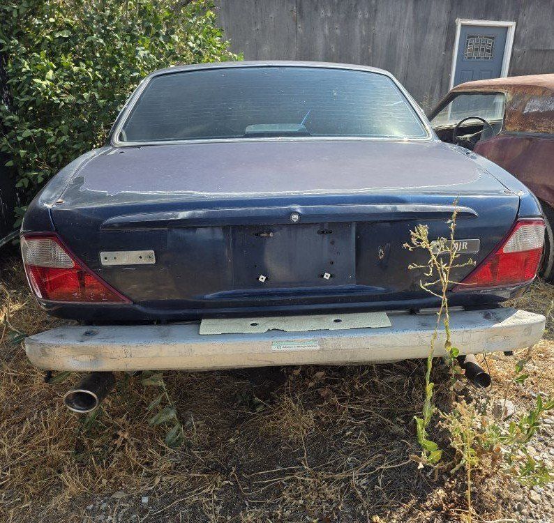 Main image 3