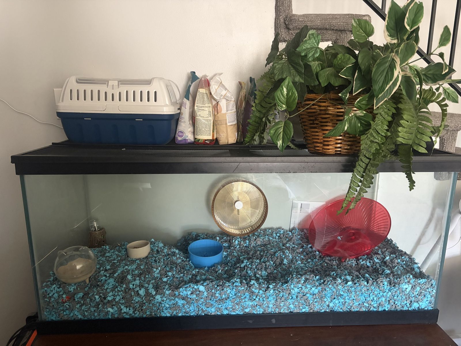 Fish Tank